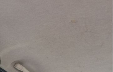 Fiat Palio Essence 1.6 16V (Flex) - Foto #2