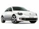 International Fusca