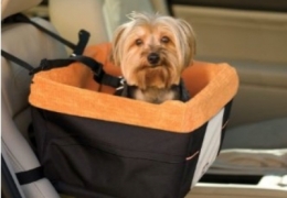 Como transportar animais de estimação no carro
