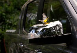 Teste da Ford Ranger Limited Flex