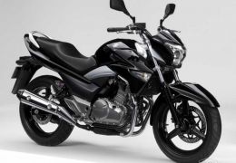 Suzuki Inazuma 250