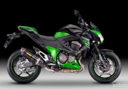 Kawasaki lança Z800 Performance Edition na Europa