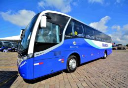 Iveco Bus comemora crescimento das vendas de ônibus no mercado nacional
