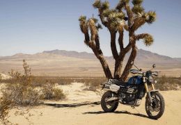 Triumph lança Scrambler 1200 no Brasil