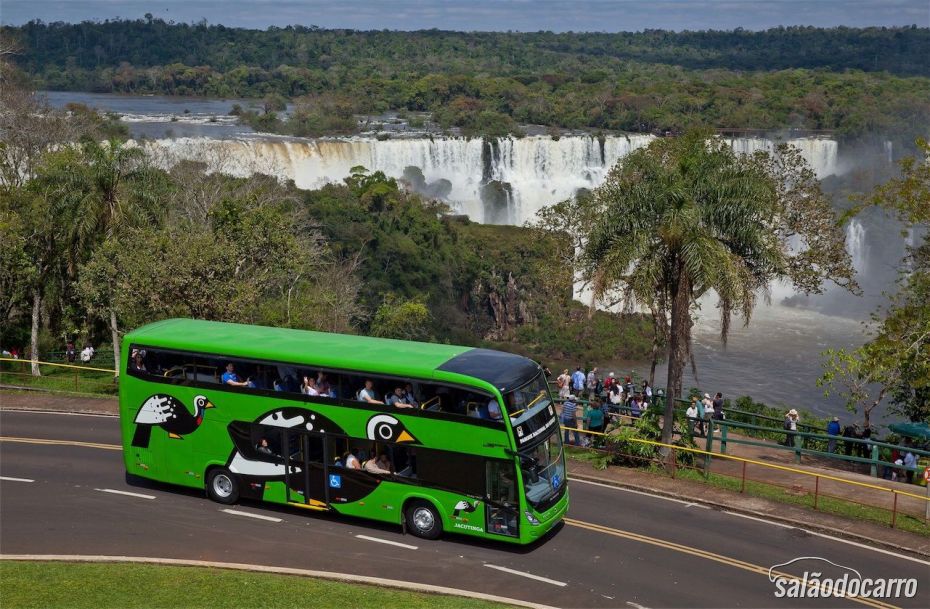 Galeria: Foto 1 de 2