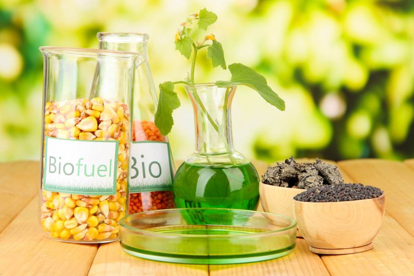 Governo altera porcentagem de biodiesel no diesel