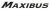 Logo Maxibus
