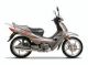 Dayang Dy 125 18