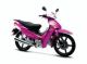 Dayun Dy 110 6 Summer X