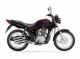 Honda CG 125