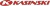 Logo Kasinski