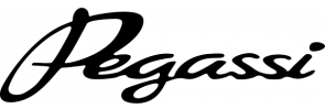 Logo Pegassi