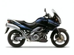 Suzuki Dl 1000