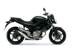 Suzuki Gladius