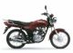 Suzuki Gs 120