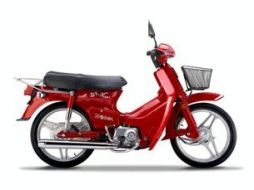 Traxx Star Jl