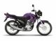 Yamaha YBR 125 Factor
